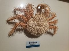 -浙江自然博物院(杭州馆)