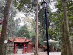 -都江堰普照寺