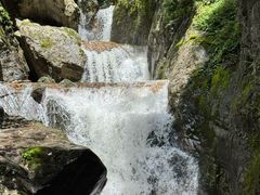 -牛背梁国家森林公园