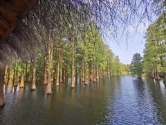 -大莲湖农家乐(青西郊野公园店)