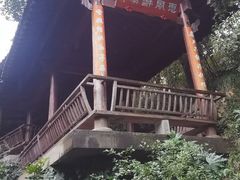 -中国茶叶博物馆(双峰馆区)