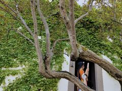 -广富林郊野公园