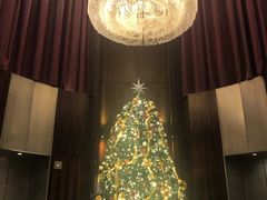 -新加坡文华东方酒店