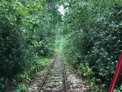 -合肥滨湖国家森林公园