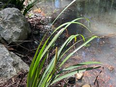 -山王坪喀斯特国家生态公园