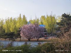 -青龙湖公园