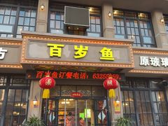 -百岁鱼(七一路店)