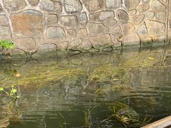 -杭州双溪漂流景区