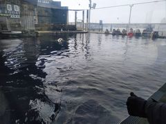 -西雅图水族馆