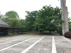 -美丽洲堂