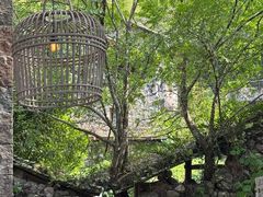 -MOJ coffee(瓯海泽雅水碓坑店)