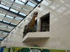 -安徽省地质博物馆