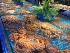 -驻海渔市(置信店)