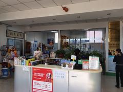 -利又安动物医院··老年病·猫科犬科·中兽医