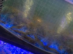 -福禧荟·海鲜自助