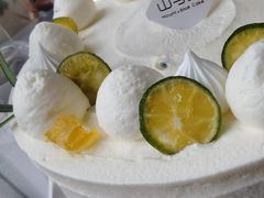 -山与蓝·轻糖鲜果蛋糕(勒泰店)