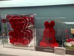 -ROSEONLY诺誓(国际广场购物中心店)