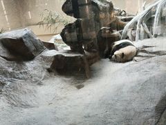 -宁波野生动物园