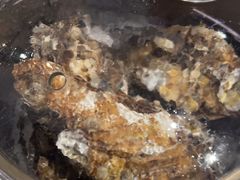 -星伦多自助料理(花山金鹰店)