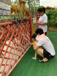 -萌宠亲子动物乐园(槐房万达店)