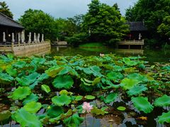 -杭州西子湖四季酒店·金沙厅