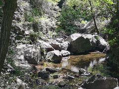 -云岫谷游猎自然风景区