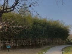 -西安浐灞国家湿地公园