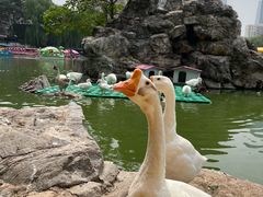 -团结湖公园