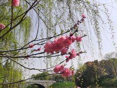 -尚贤河湿地