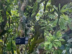 -国家植物园南园