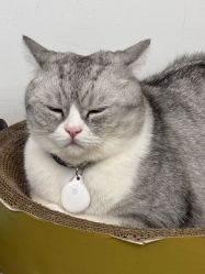 -我舞空间舞蹈培训