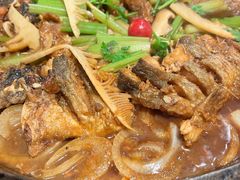 老板恋上鱼-老板恋上鱼(荣盛广场店)