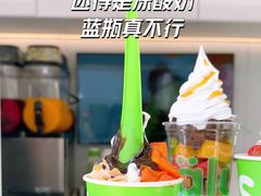 -Salud撒露欧洲冻酸奶(蓝色港湾店)
