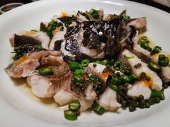 青青椒麻龙胆鱼-CHIC1699远洋私厨