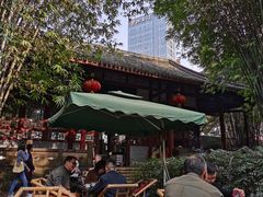 -望江楼公园