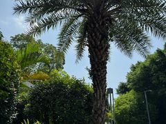 -天悦阁海景酒廊