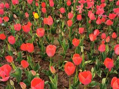 -咸阳湖景区-统一广场