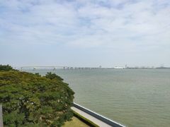 -大湾区中央湿地公园