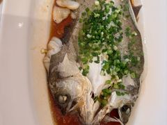 葱油蒸黄鱼-醉辉皇(桃源π商业广场店)