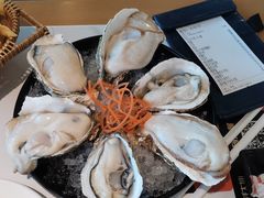 -蚝大仙横琴生蚝火锅(日月贝店)