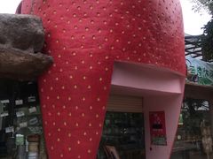 -丹樱生态园