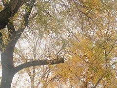 -塘沽站