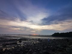 -宝安西湾红树林湿地公园