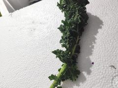 -何庄子阿米玛玛农产品批发市场