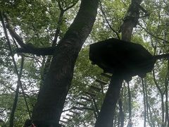 -WeLope紫金山探险公园