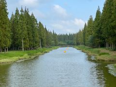 -黄海国家森林公园