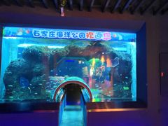 -石家庄海洋公园