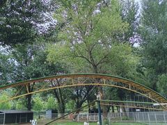 -大连铭湖国际观光牧场