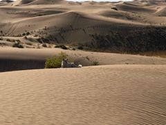 -恩格贝生态旅游区
