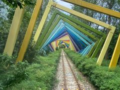 -合肥滨湖国家森林公园